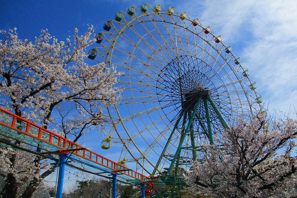 華蔵寺公園